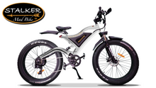 Charger l&#39;image dans la galerie, PREDATOR Mad Bike® - Fat Bike Électrique Off Road Haute Vitesse 750W 48V 11.6Ah 70km 90Nm - STALKER MAD BIKE
