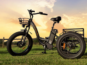 TEC-HAUL II Mad Bike® - Tricycle Électrique Fat Bike - STALKER MAD BIKE